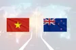 Vietnam - New Zealand: From commitments to action