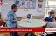 Robots as companions in old age