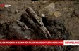 Major progress in search for fallen soldiers at Le Thi Rieng Park