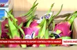 Vietnam strengthens farm-to-export controls for EU market