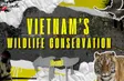 Into Vietnam’s Wildlife | Vietnam Explained