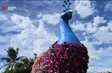 Flower festival brings highlands to coast
