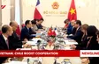 Vietnam, Chile boost cooperation