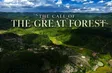 The call of the great forest | Vietnam Destination