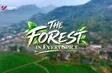 The Forest in Every Spice | Flavours and Beyond