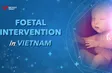 Foetal Intervention in Vietnam | Health Matters