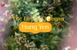 The Famous Longan of Hung Yen | Local Towards Global