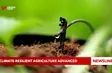 Climate-resilient agriculture advanced