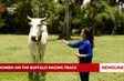 Women on the buffalo racing track
