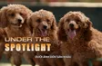Under the Spotlight | The Lens