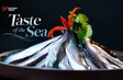 Taste of the Sea | Vietnam Destination