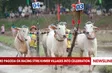 Ro Pagoda ox racing stirs Khmer villages into celebration
