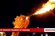 The dragon trainers of Danang