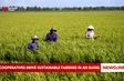 Cooperatives drive sustainable farming in An Giang