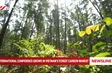 International confidence grows in Vietnam's forest carbon market