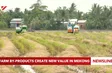 Farm by-products create new value in Mekong