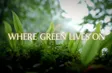 Where green lives on | Vibes of Vietnam