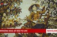 Bringing soul of rice to life