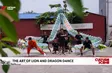 The art of lion and dragon dance