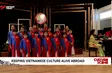Keeping Vietnamese culture alive abroad