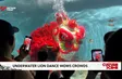 Underwater lion dance wows crowds