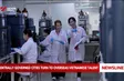 Centrally governed cities turn to overseas Vietnamese talent