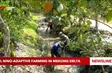 El Niño-adaptive farming in Mekong Delta