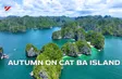 Autumn on Cat Ba Island | Vibes of Vietnam