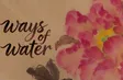 Vietnam - Ways of Water | Hidden Charm