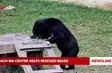 Bach Ma Centre helps rescued bears
