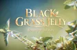 Black Grass Jelly - Bounty of The Hills | Local Towards Global