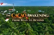 The Cacao Awakening: From bean to beyond | Flavours and Beyond