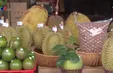 Đắk Lắk: Khai mạc Hội chợ thương mại nông nghiệp trái cây năm 2020