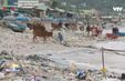 Ninh Thuận: Chưa xử lý triệt để nạn vứt rác thải xuống biển
