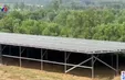 Quảng Nam: Những trang trại trồng cây không có ánh nắng