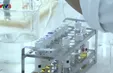 Đà Nẵng xử lý nghiêm doanh nghiệp gây ô nhiễm môi trường