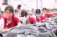 Kinh tế Quảng Ngãi tăng trưởng mạnh trong quý I