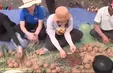Đắk Lắk khôi phục rừng từ bom hạt giống