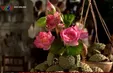 Khai mạc Ngày Hội Sen Huế