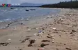 Quảng Nam: Danh thắng Bàn Than đối mặt nguy cơ ô nhiễm