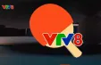Sẵn sàng cho giải Bóng bàn truyền thống tranh Cup VTV8 lần thứ VII năm 2024