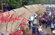 Xuân đến sớm trên vùng cao Quảng Trị
