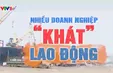 Nhiểu doanh nghiệp 