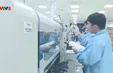 Cơ hội Đà Nẵng tiếp cận những bước tiến mới về công nghệ AI và bán dẫn