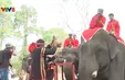 Cúng sức khoẻ cho voi
