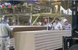 Doanh nghiệp gỗ xuất khẩu tìm hướng đi