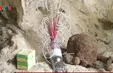 Phát hiện nhiều hài cốt trong hang đá ở Nghệ An