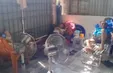 Thâm nhập cơ sở chữa bách bệnh bằng nước I-on kiềm