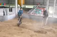 Người dân Hà Tĩnh gấp rút sấy lúa sau lũ
