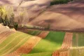 https://cdn-images.vtv.vn/thumb_w/630/2015/autumn-on-fields-900-880-1447751492883.jpg